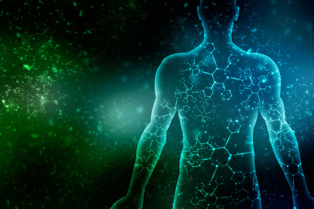 transparent human body with DNA and cell formation