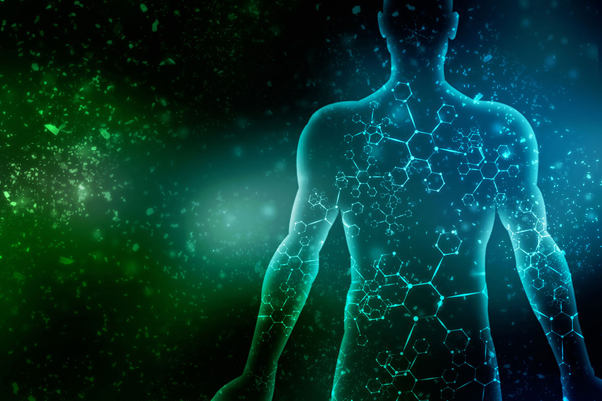 transparent human body with DNA and cell formation
